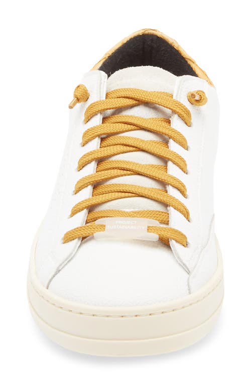 P448 John Perforated Sneaker In White