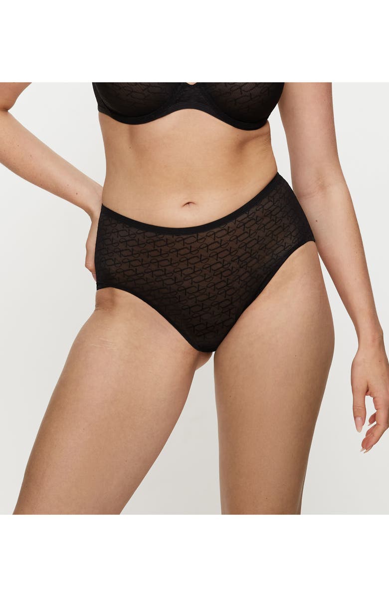 TRIUMPH Signature Sheer Brief Panties, Alternate, color, Black