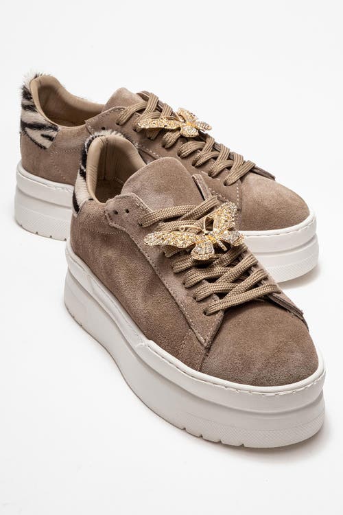 Forever & Always Shoes Anda Leather Buckled Sneakers In Multi