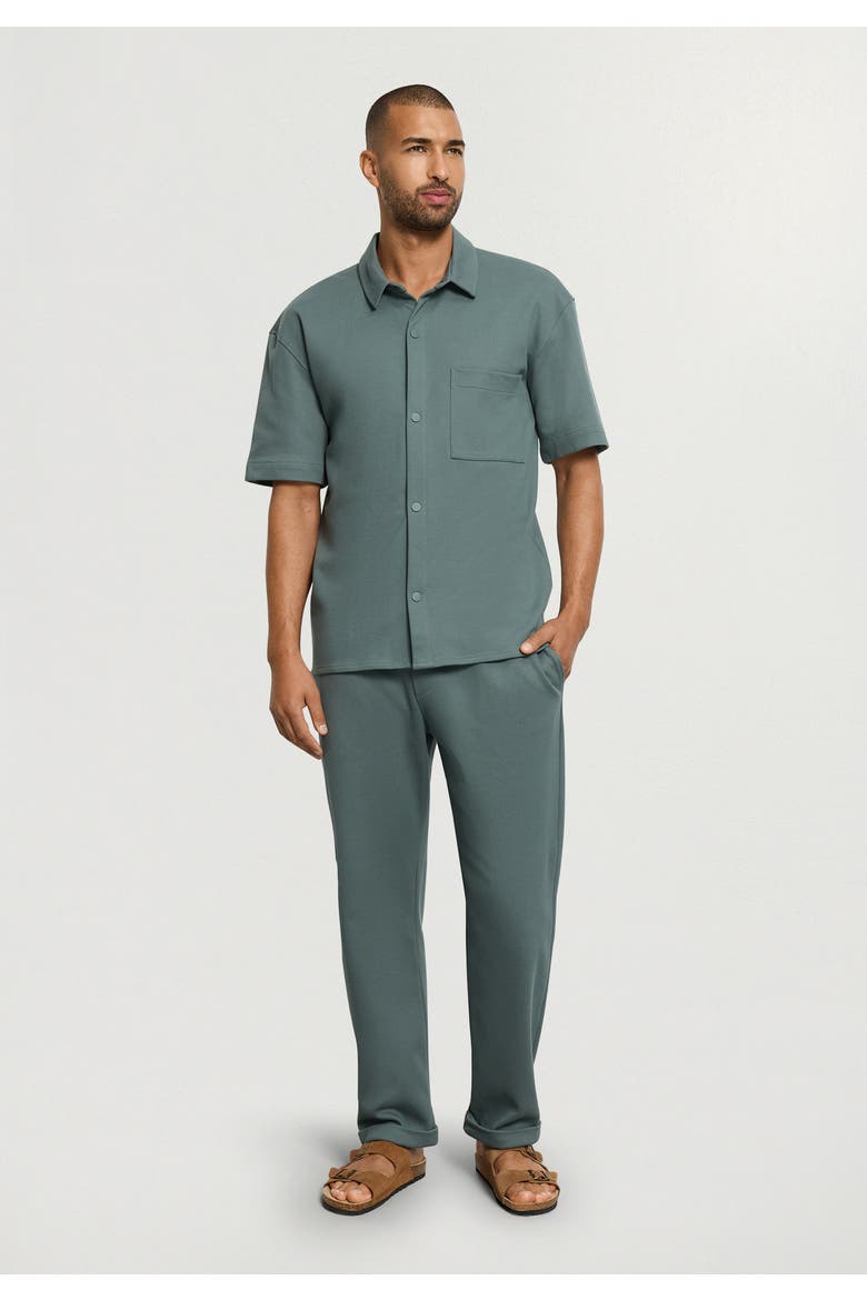 Travelwear Cotton Pants, Alternate, color, Studio Green
