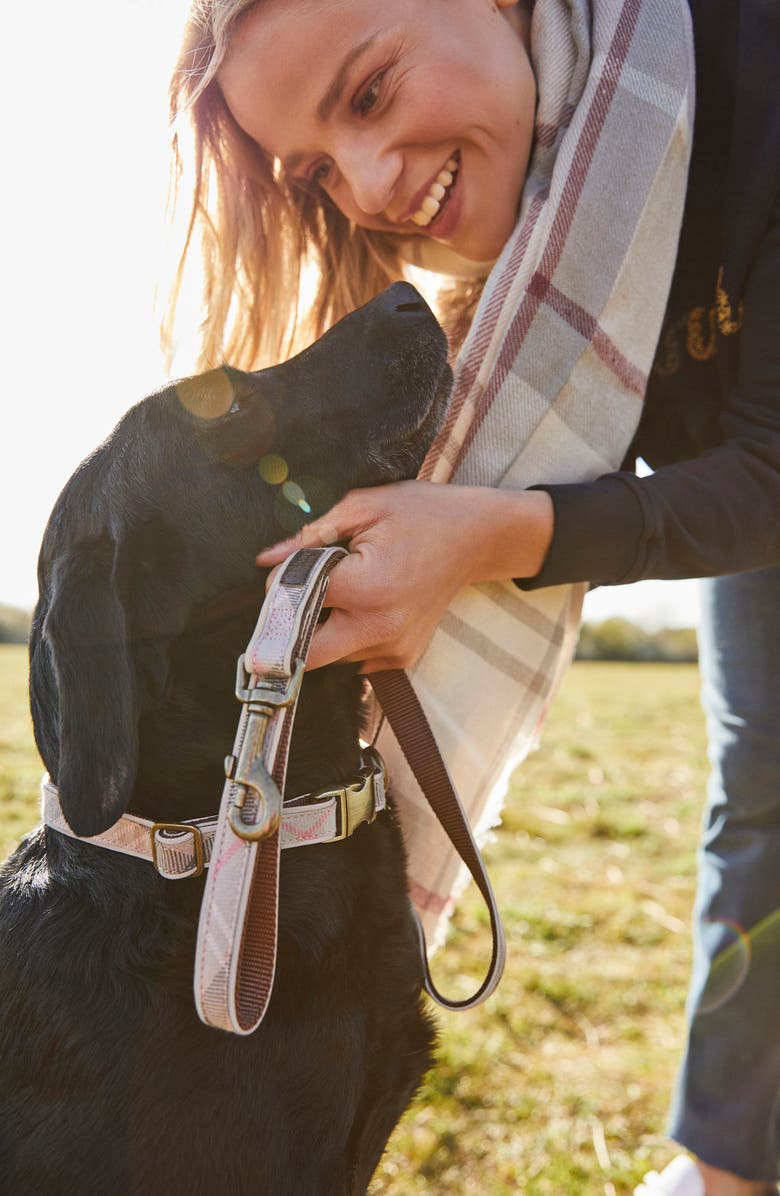 Barbour Reflective Tartan Dog Collar, Alternate, color, 