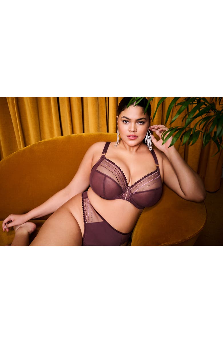 Elomi Matilda Full Figure Embellished Briefs, Alternate, color, Sugarplum