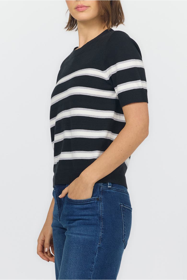 Amaris Short Sleeve Crew Neck Stripe Sweater, Alternate, color, Black And Grey