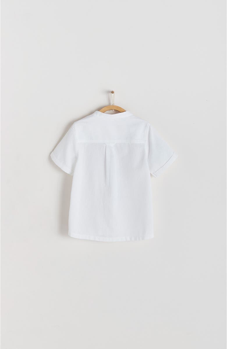 Babycottons Premium Cotton Celebration Jona Shirt for Little Kid, Alternate, color,