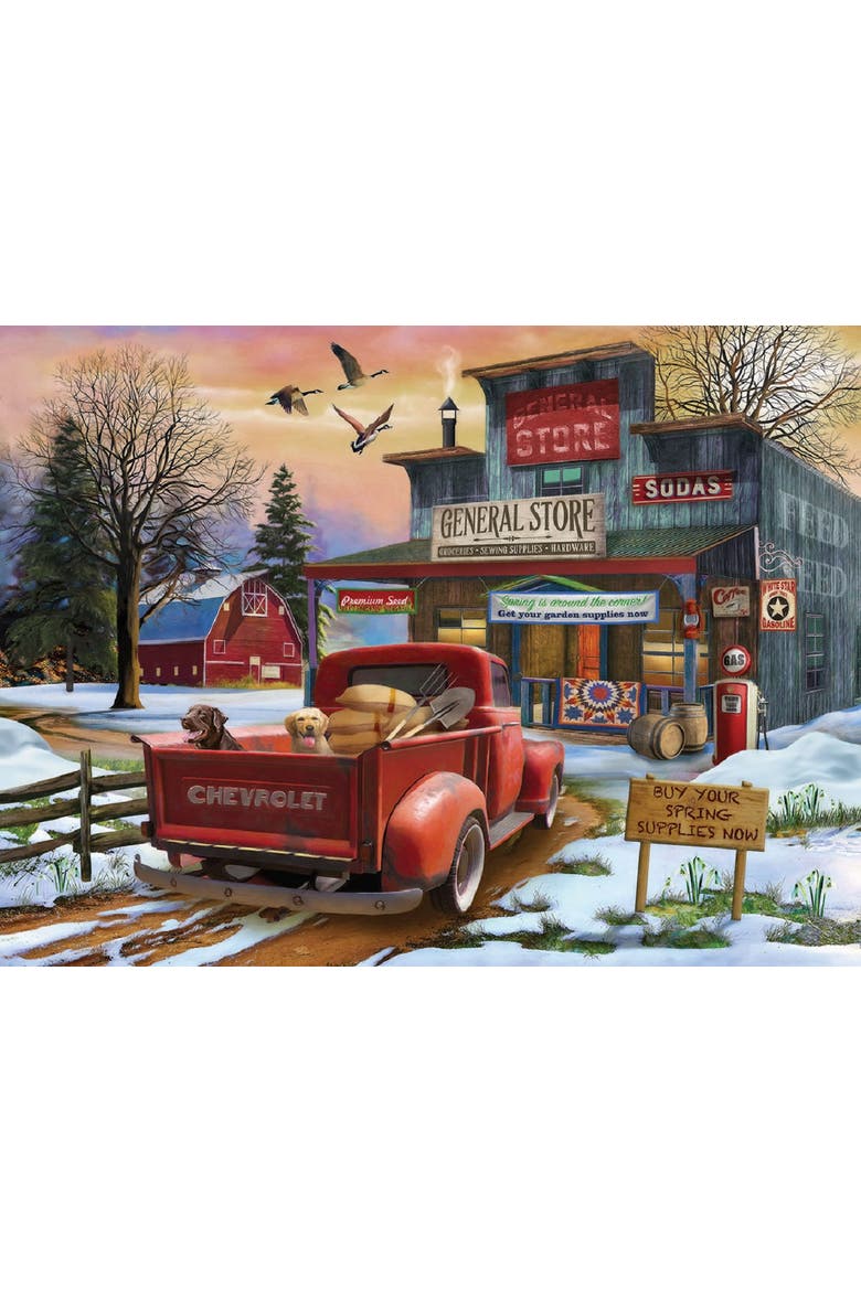 Spring Supplies 1000 piece Jigsaw Puzzle for Adults, Alternate, color, Multicolor