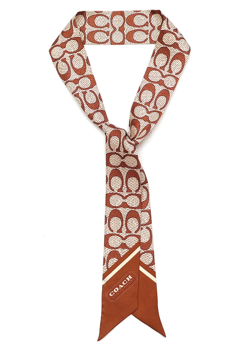 Textured Signature Print Silk Skinny Scarf, Alternate, color, PECAN