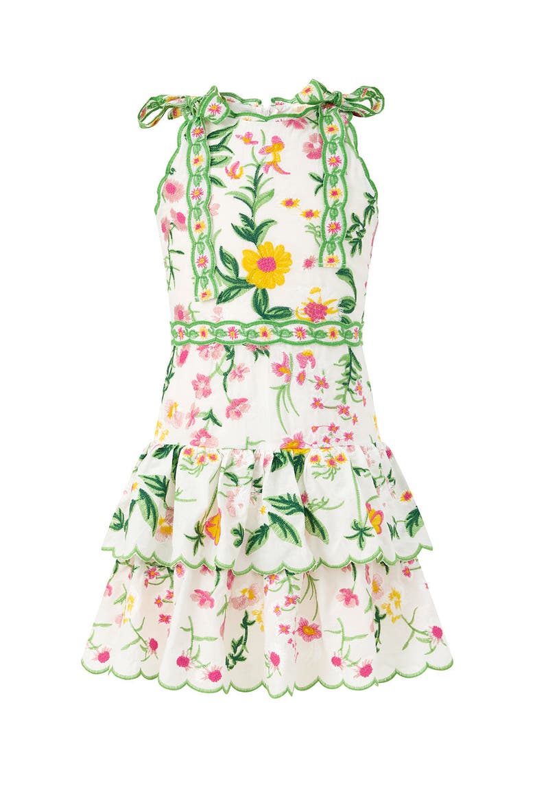Kaylee Cotton Embroidered Mini Dress, Main, color, Floral