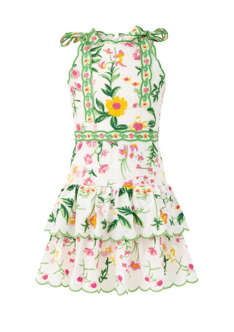 Kaylee Cotton Embroidered Mini Dress (Toddler, Little Kid & Big Kid)