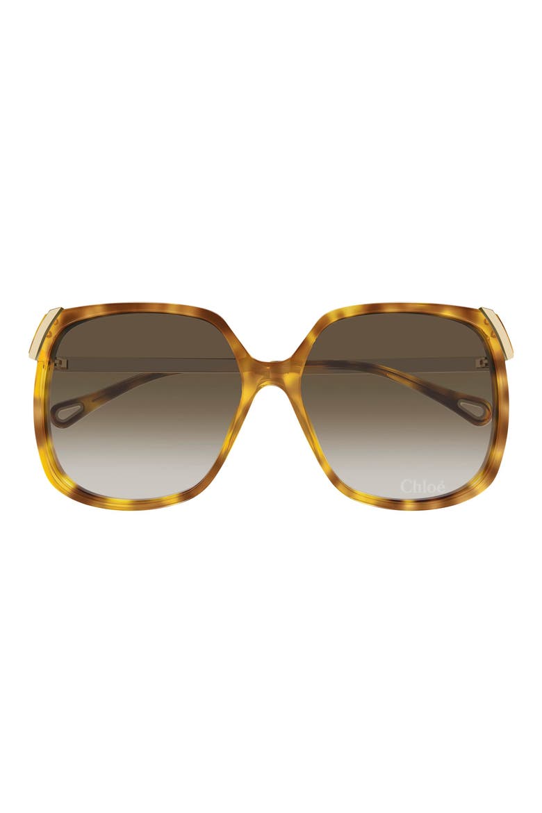 60mm Gradient Square Sunglasses, Main, color, HAVANA