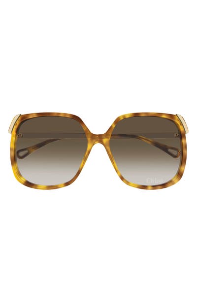 style board product image