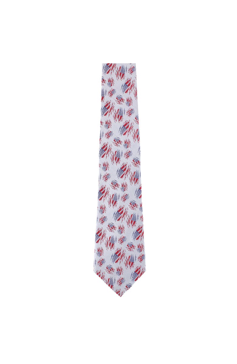Trafalgar Stars & Stripes Secret Silver Silk Novelty Necktie, Alternate, color, Silver