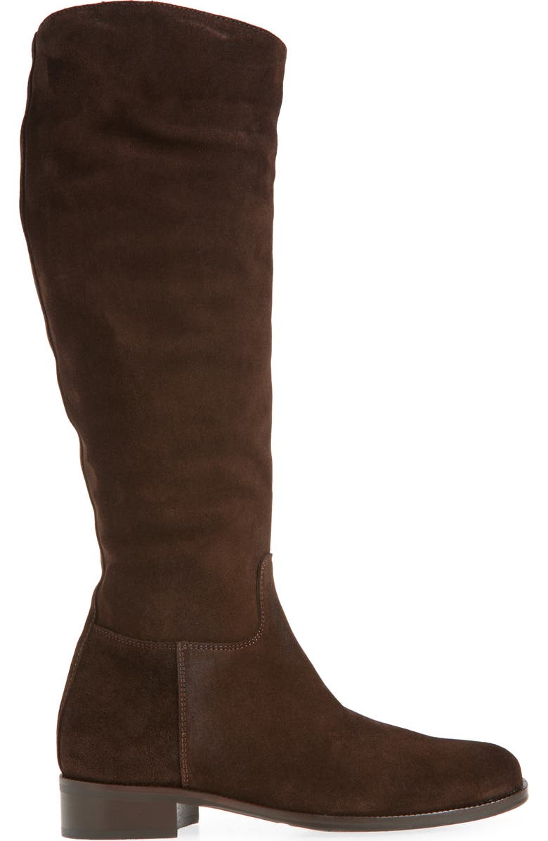 La Canadienne Segal Waterproof Tall Boot, Alternate, color, Brunette