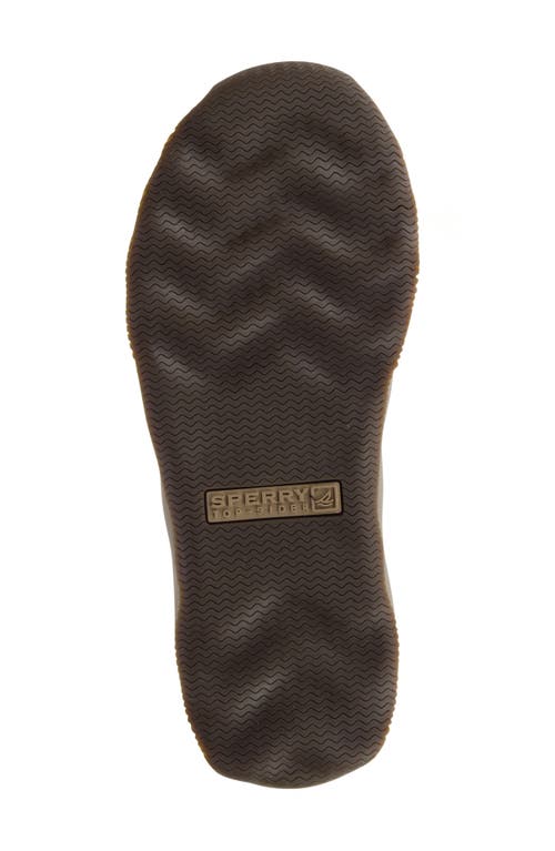 SPERRY SPERRY OUTER BANKS FLIP FLOP
