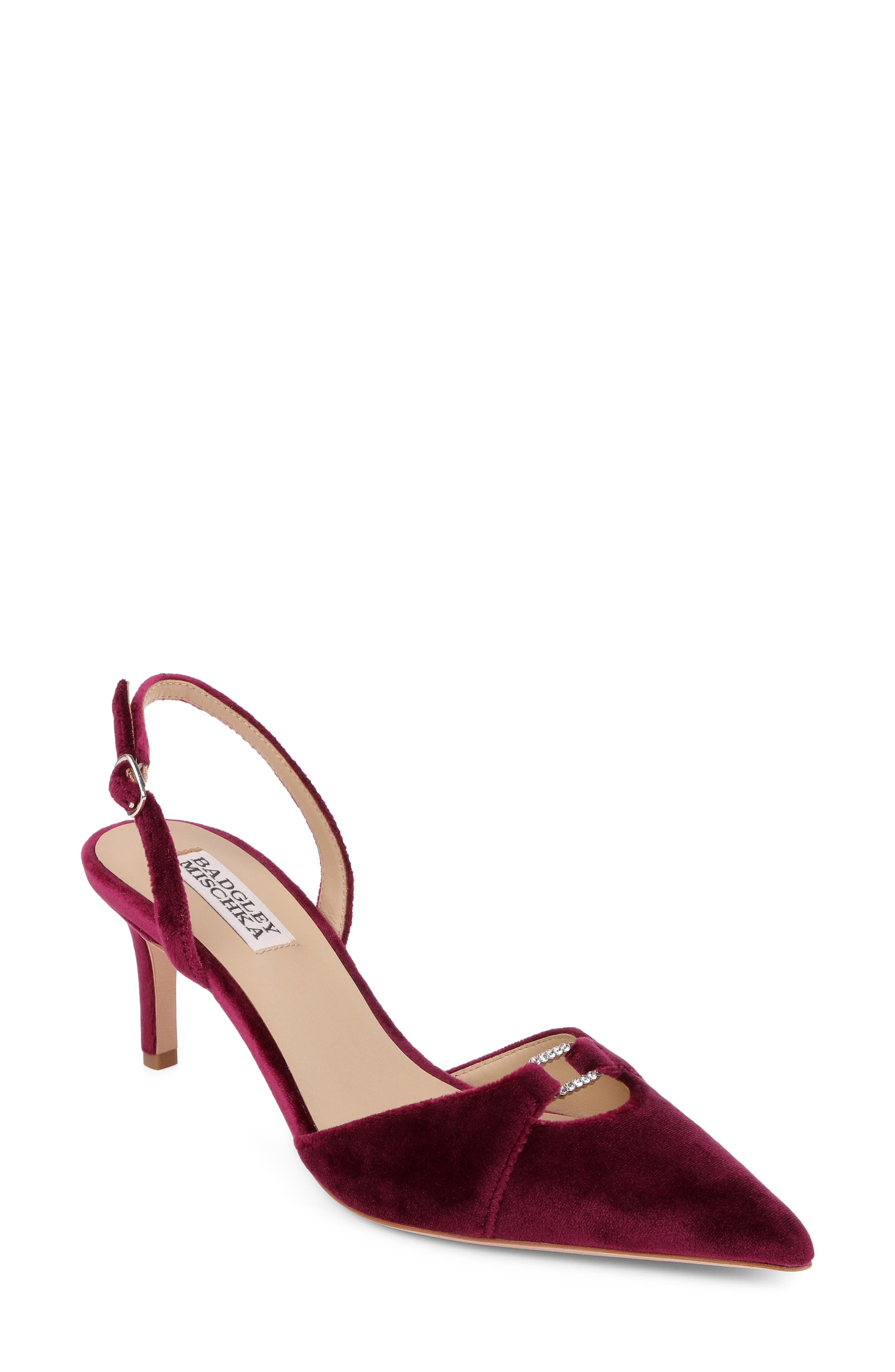 Roger Slingback Pointed Toe Pump, Main, color, WINE VELVET