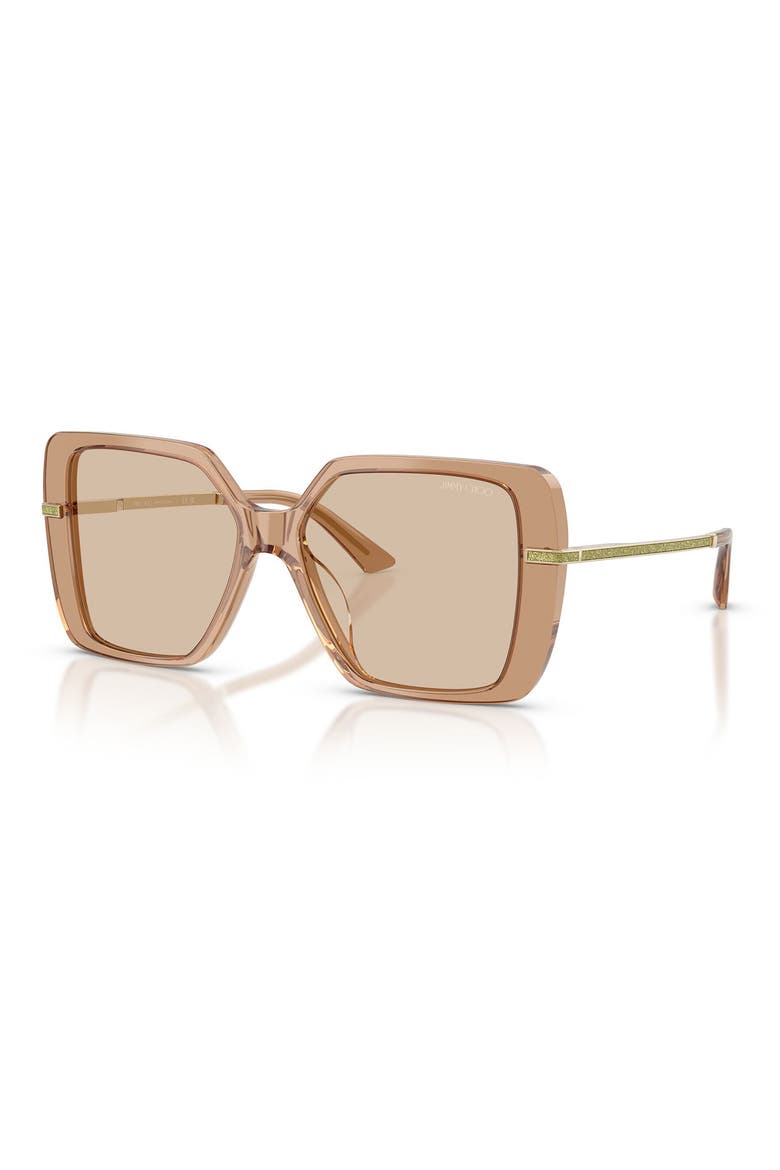 Pati 55mm Square Sunglasses, Alternate, color, TRANSPARENT TAN / LIGHT BROWN