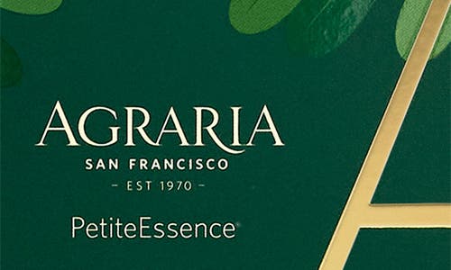 Agraria San Francisco Holiday Petite Diffuser In Blue