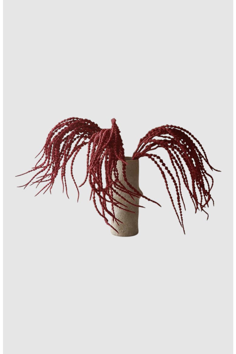 Red Amaranthus Caudatus Dreadlocks Flower, Alternate, color, Red