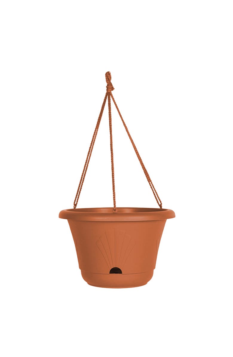 Bloem 13 Inch Lucca Self Watering Hanging Basket, Main, color, Brown