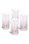 Flower Set of 4 Highball Glasses