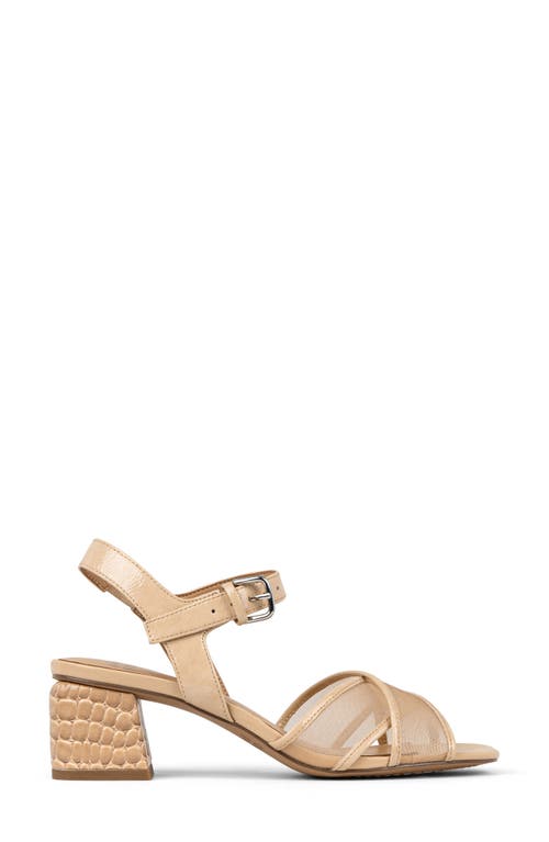 Donald Pliner Joel Ankle Strap Sandal In Sand