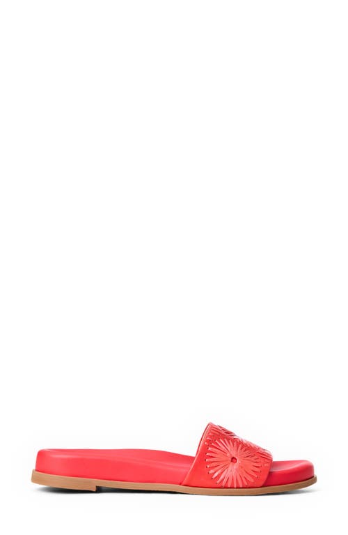 Jack Rogers Somerset Embroidered Slide Sandal
