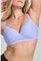  Periwinkle