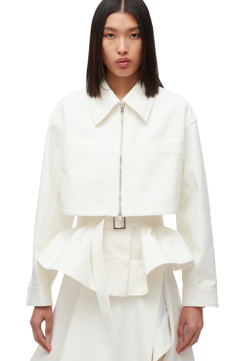 Double Layered Belted Silk Organza Jacket, Alternate, color, IVORY