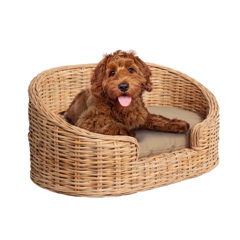 Curvy Classic Handwoven Rattan Pet Bed with Machine-Washable Cushion