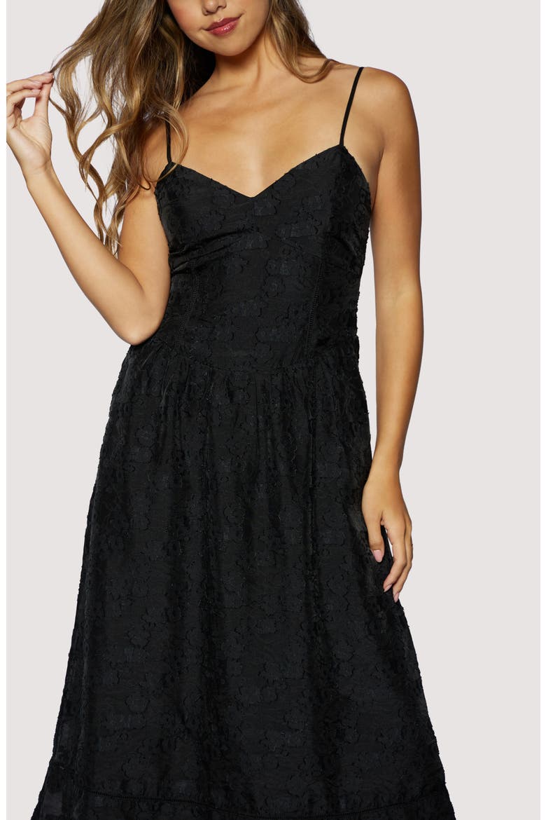 Petal Veil Jacquard Dress, Alternate, color, BLACK