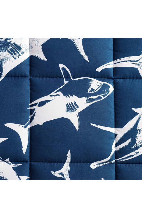 Eddie Bauer Kids' Vinny And Shark Friends 3-piece Comforter Set In Navy/white