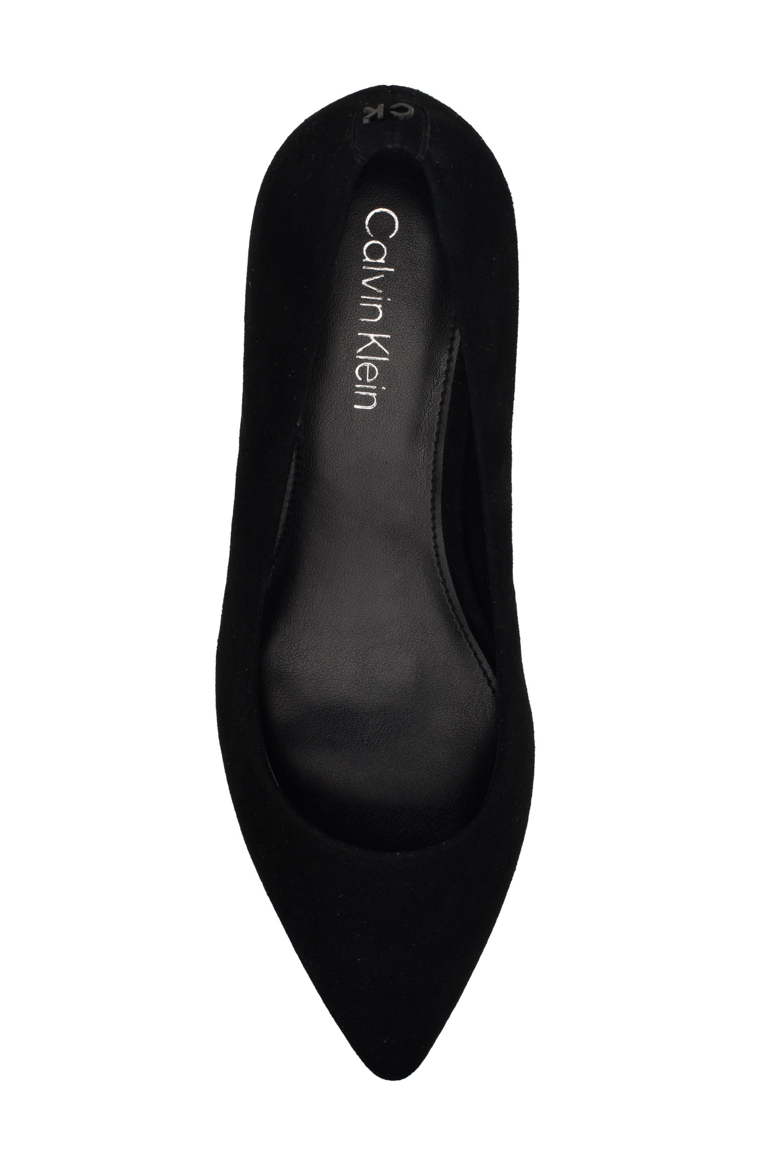 Calvin Klein Lenott Pointed Toe Pump, Alternate, color, 