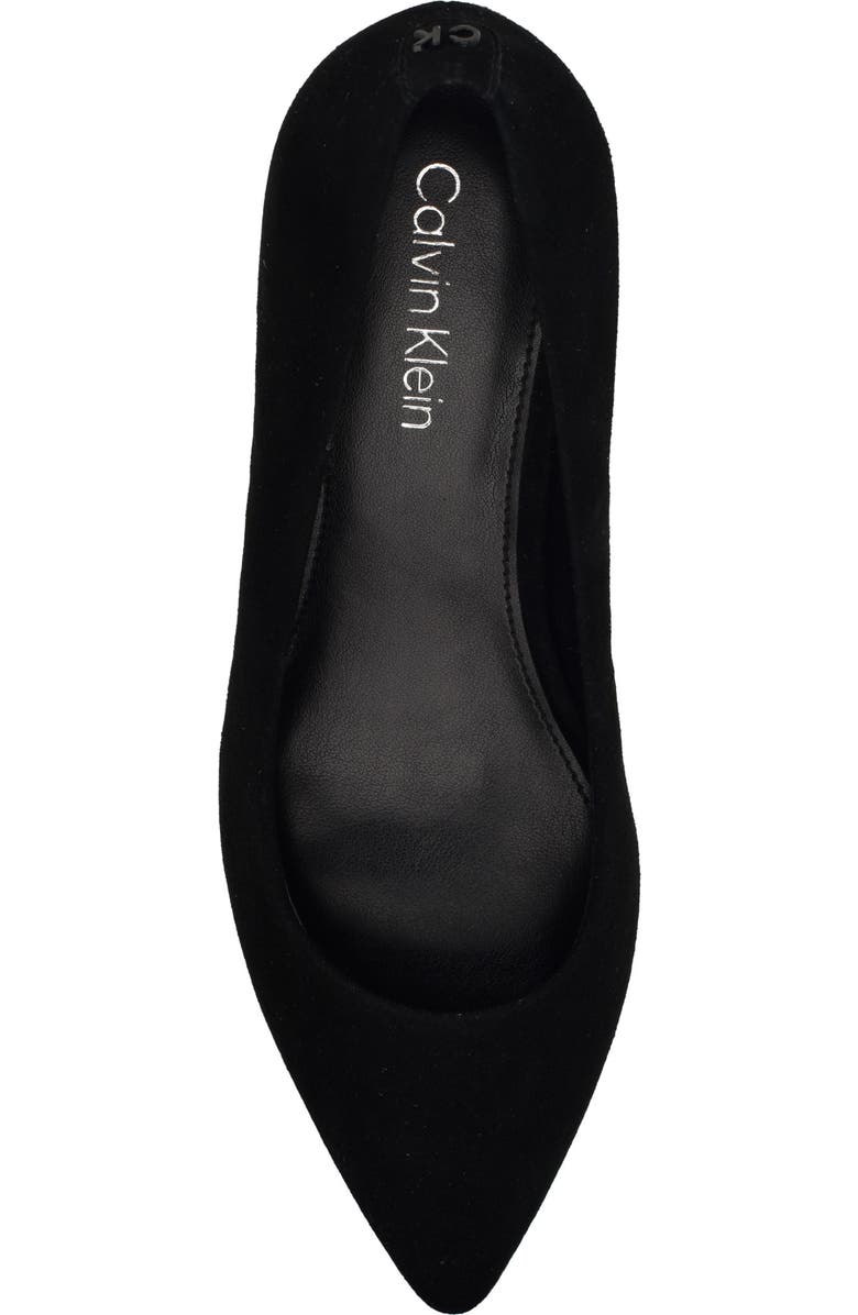 Calvin Klein Lenott Pointed Toe Pump, Alternate, color,