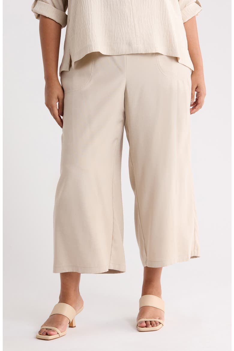 Brushed Twill Crop Wide Leg Pants, Main, color, PUMICE-PUMICE