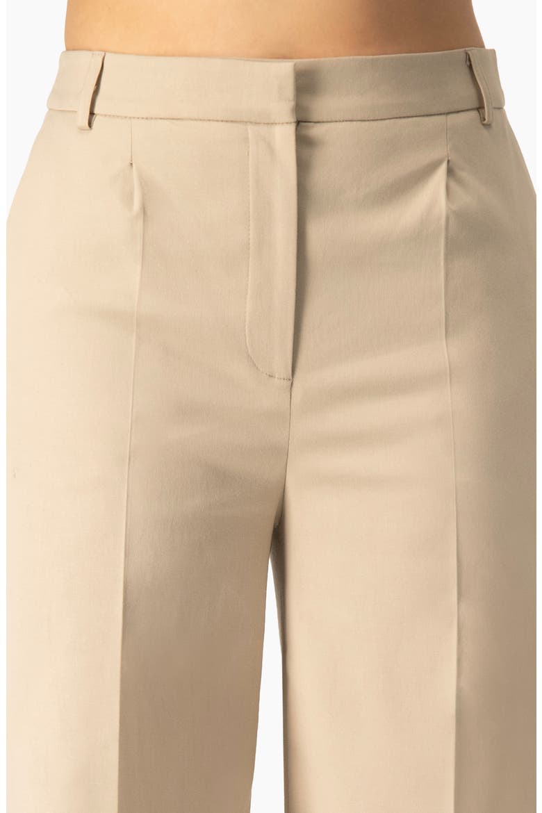 Wide-Leg Flare High-Waist Tailored Pants, Alternate, color, Beige