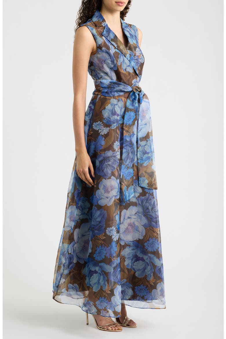 Tie Waist Maxi Dress, Alternate, color, BROWN BLUE