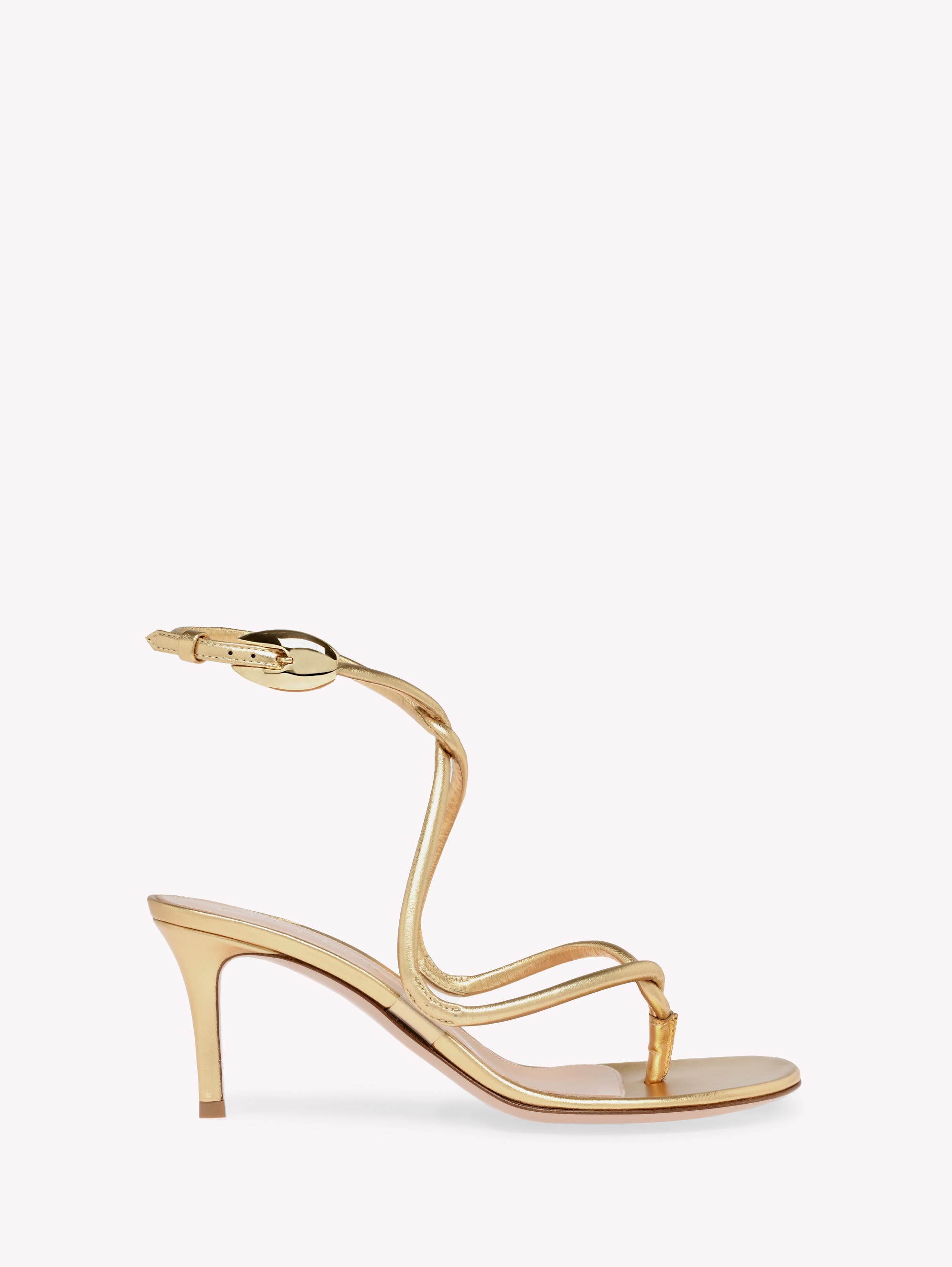 Gianvito Rossi Jungle Mamba 70 Thong, Main, color, Gold 95%Nappa+5%Tpu