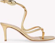 Gianvito Rossi Jungle Mamba 70 Thong