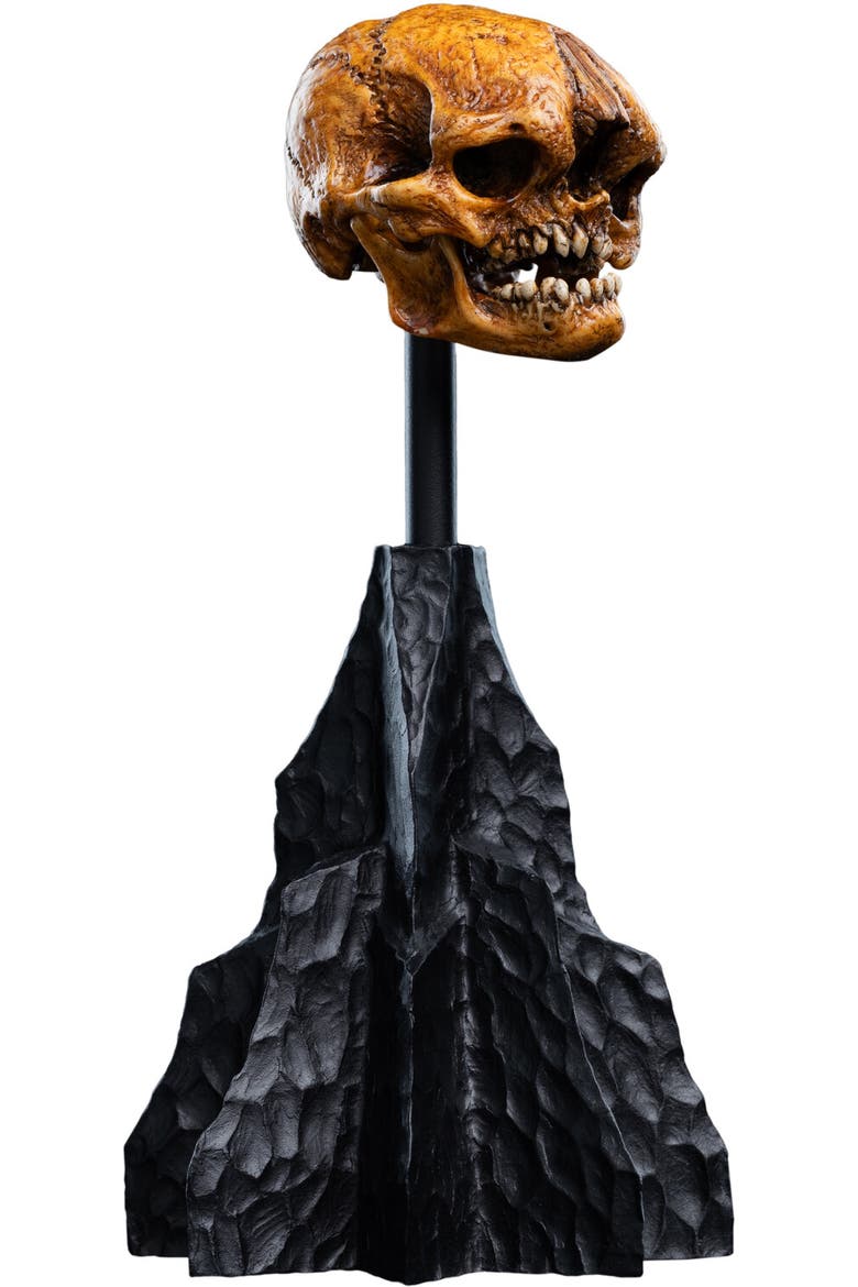 Hobbit Trilogy - Skull Of A Misty Mountain Goblin, Alternate, color, Multicolor