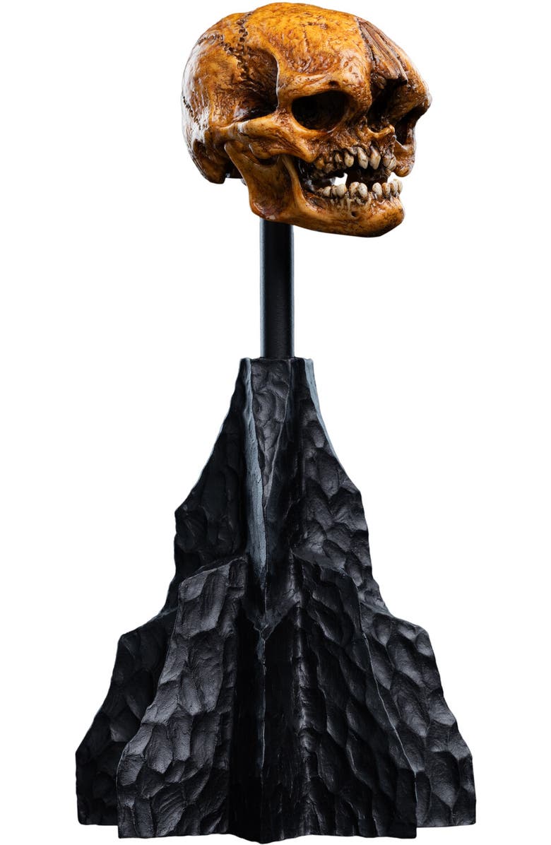 Weta Workshop Hobbit Trilogy - Skull Of A Misty Mountain Goblin, Alternate, color, 