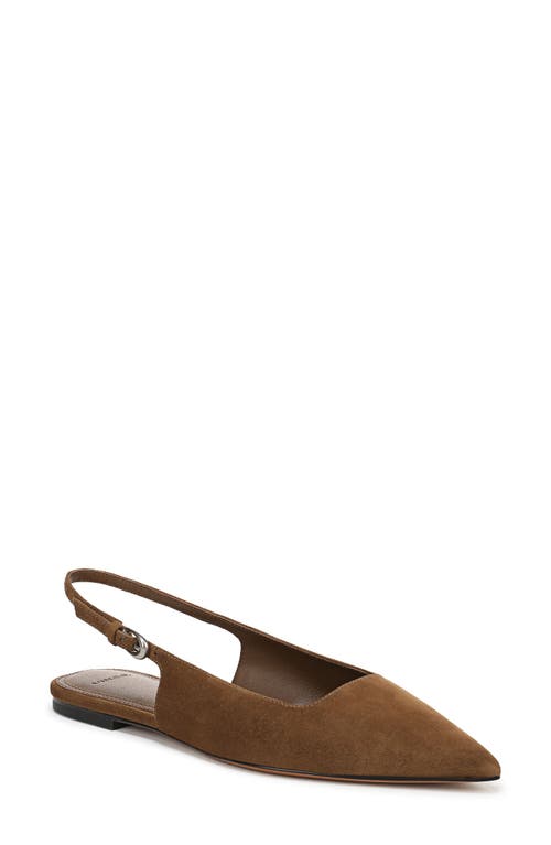 Vince Gracy Pointed Toe Slingback Flat In Brown