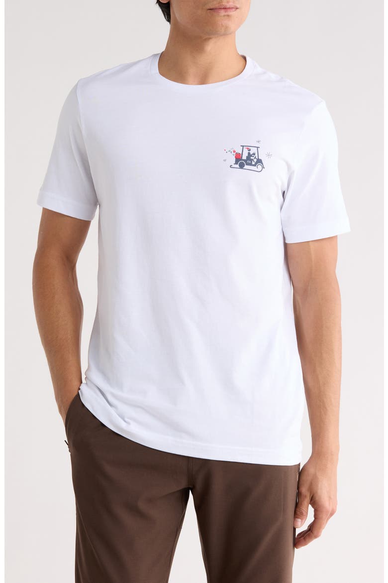 Danisher Pima Cotton Graphic T-Shirt, Main, color, WHITE
