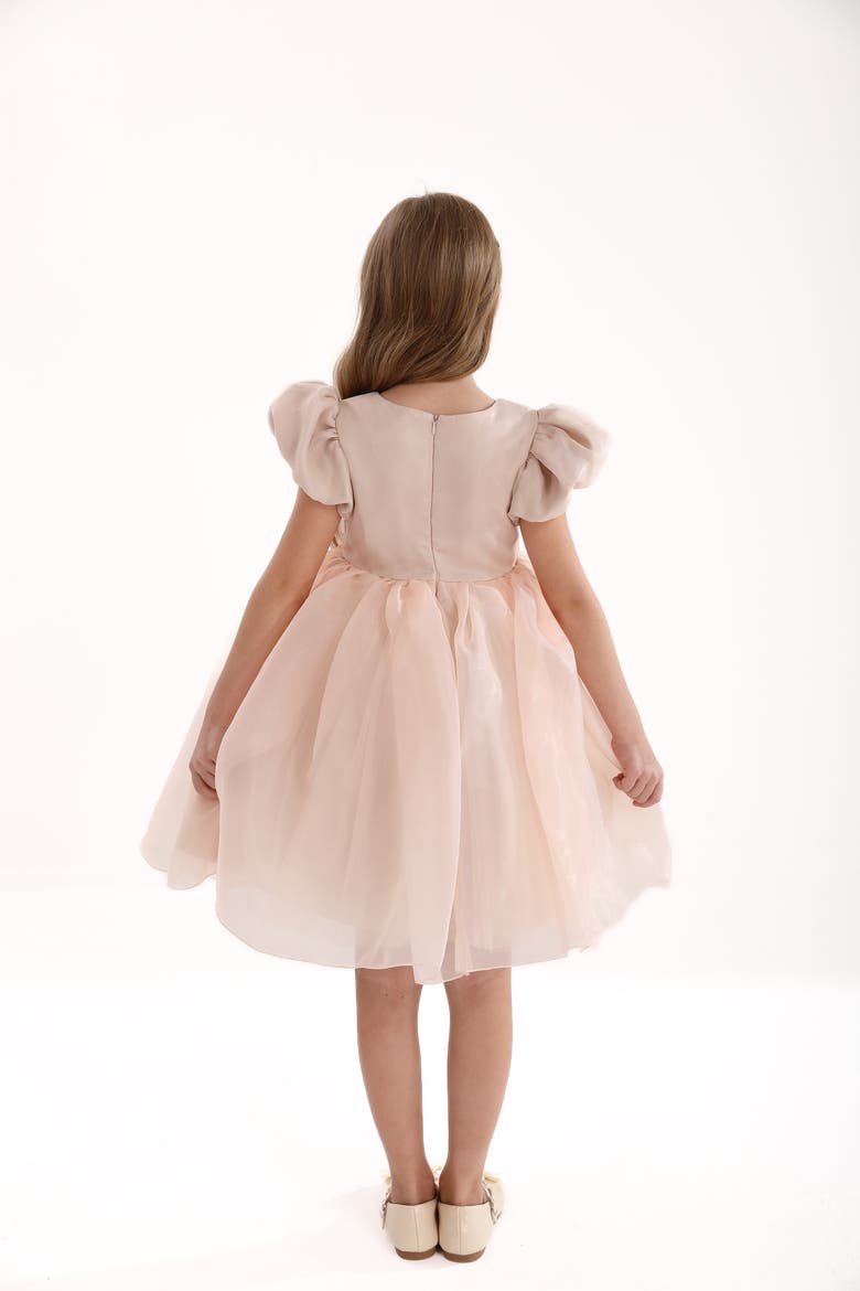 D'Amico Dress, Alternate, color, Champagne