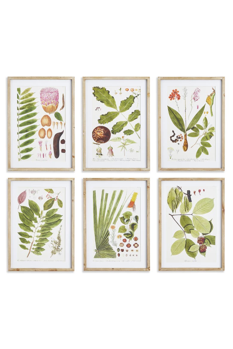 Leaf Botanical Study Set of 6, Main, color, Green