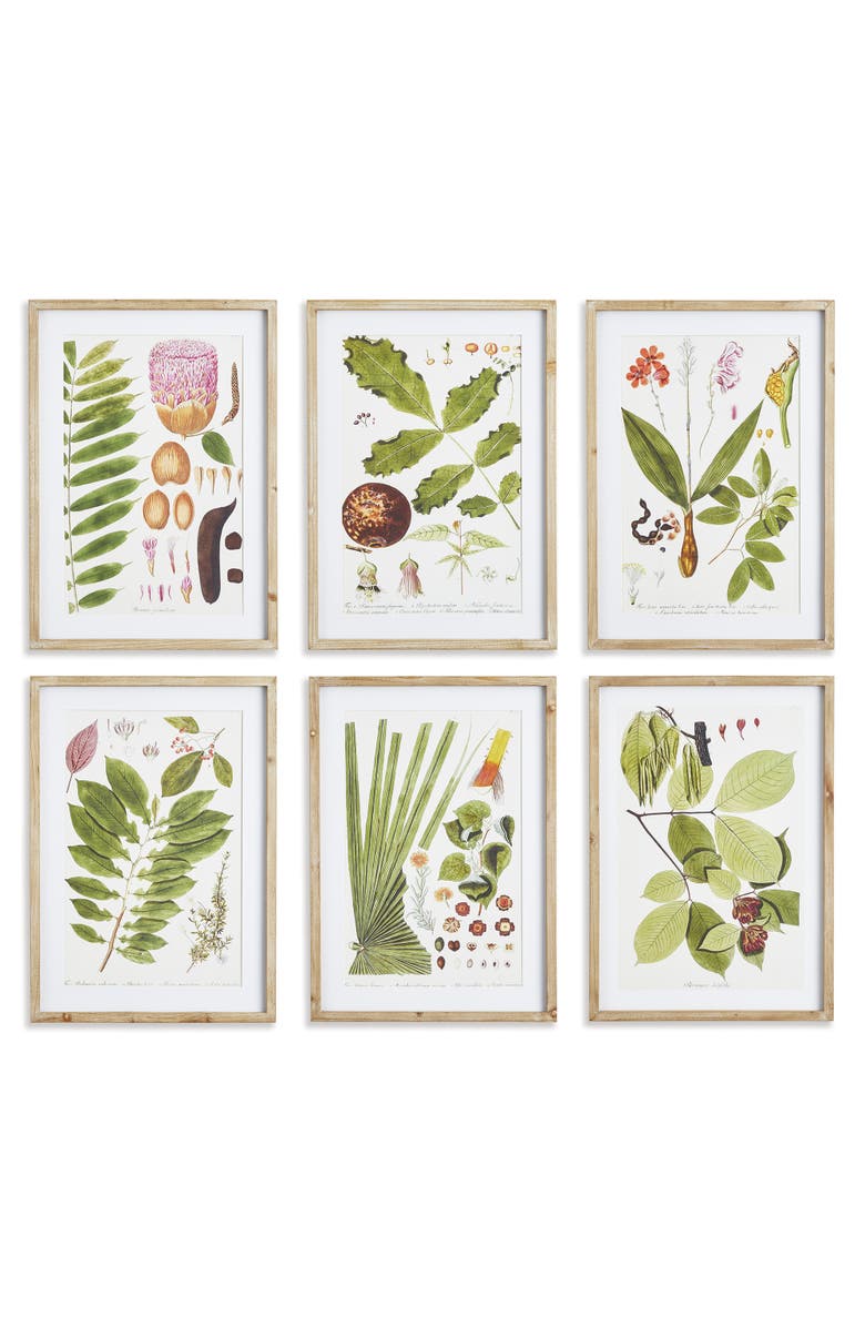 Napa Home & Garden Leaf Botanical Study Set of 6, Main, color, 