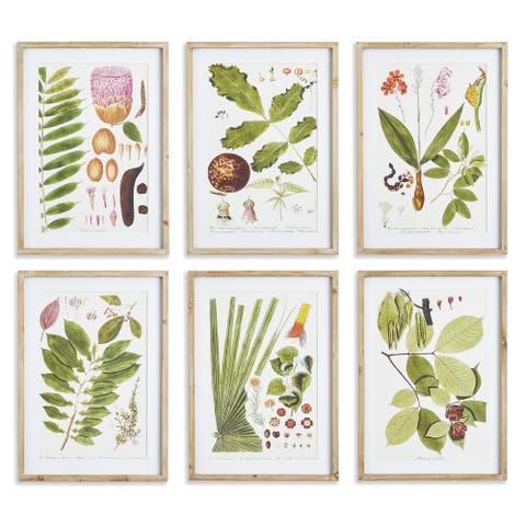Leaf Botanical Study Set of 6