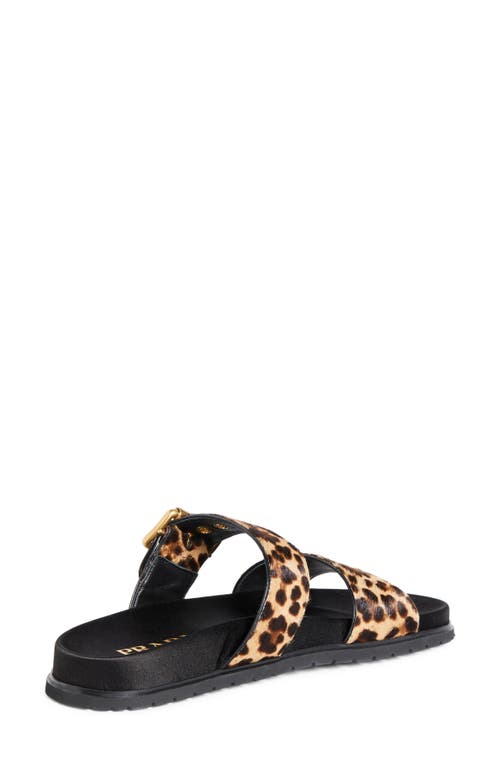 Prada Leopard Buckle Sporty Slide Sandals