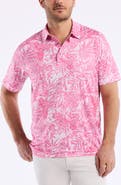 Robert Graham Ives Knit Polo