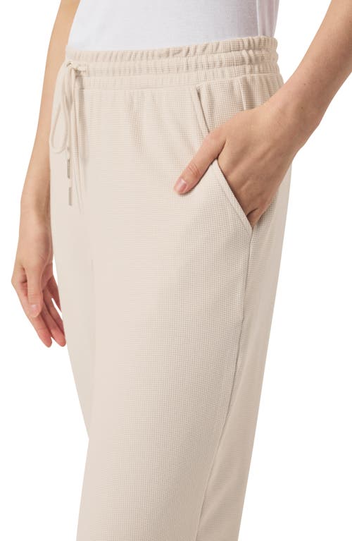 Splendid Tie Waist Waffle Stitch Scuba Joggers In Moonstone