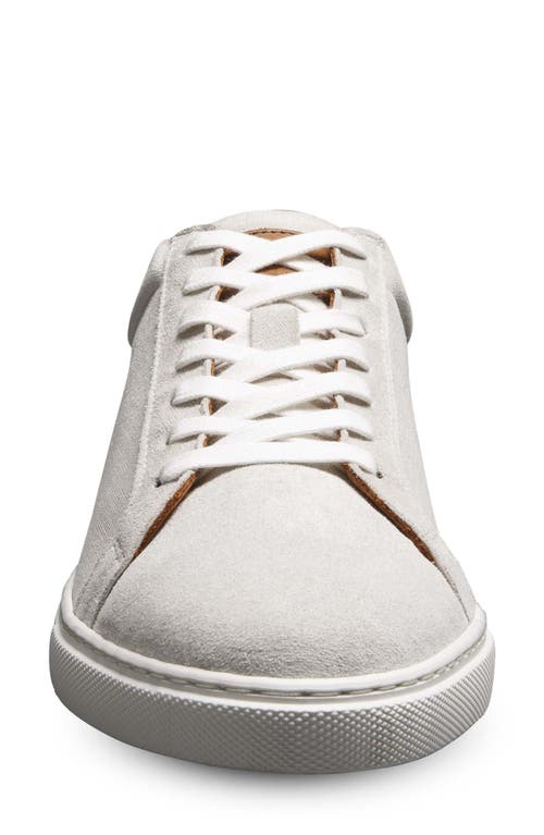 Allen Edmonds Courtside Sneaker