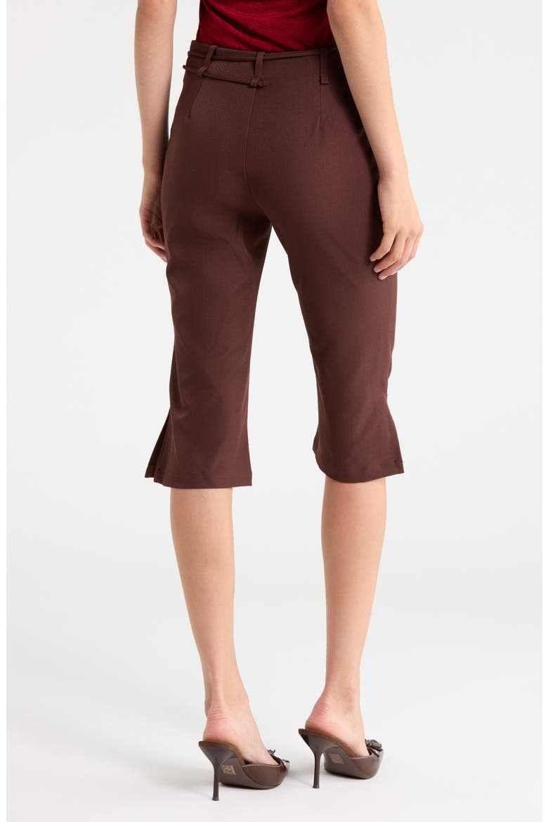 Giorgie Belted Capri Pants, Alternate, color, BROWN